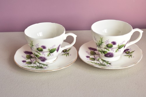 Duchess china thistle - china,