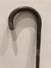 Antique Old Silver Collar Walking Stick Cane Miller & Thompson Ltd