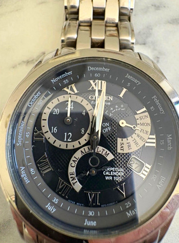 Citizen eco drive perpetual - citizen,