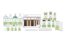 Clean + Easy Professional