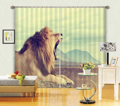 Animal lion zhub860 - lion, photo
