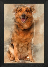 Cross breed dog 1 year old
