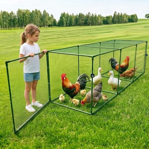 Heavy duty chicken tunnel - tunnel,