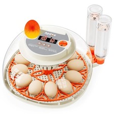 Digital Egg Incubator for