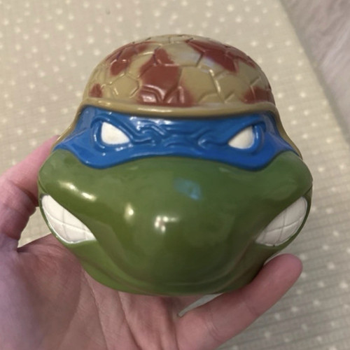Teenage mutant ninja - teenage,