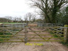 Photo 6x4 Cattle Handling Pens
