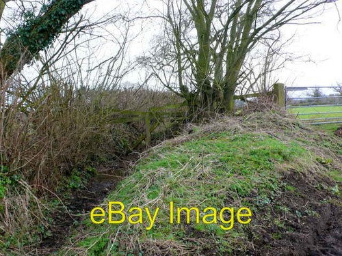 Photo 6x4 field - photo,