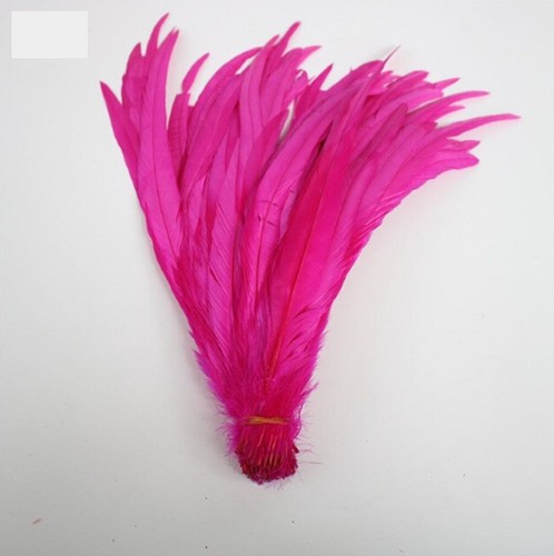 Long rooster tail feathers - rooster,