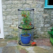 Haxnicks twist tomato - up,
