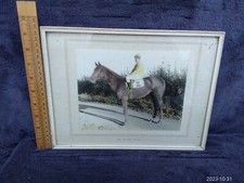 Horse Racing Photograph Horse