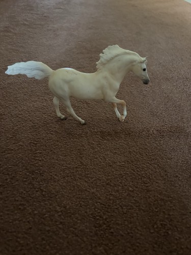Andalusian cremello stallion - cremello,