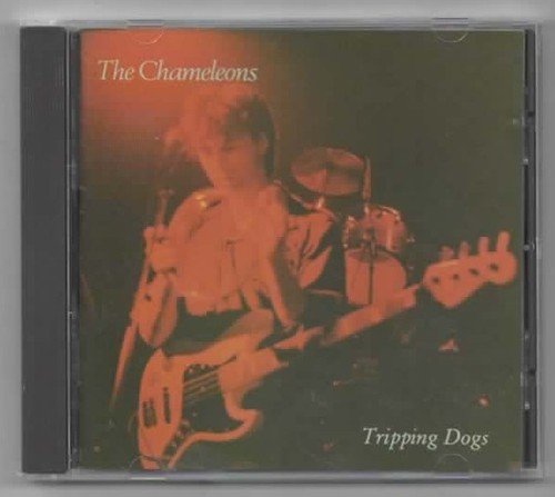 The chameleons tripping dogs - tripping,