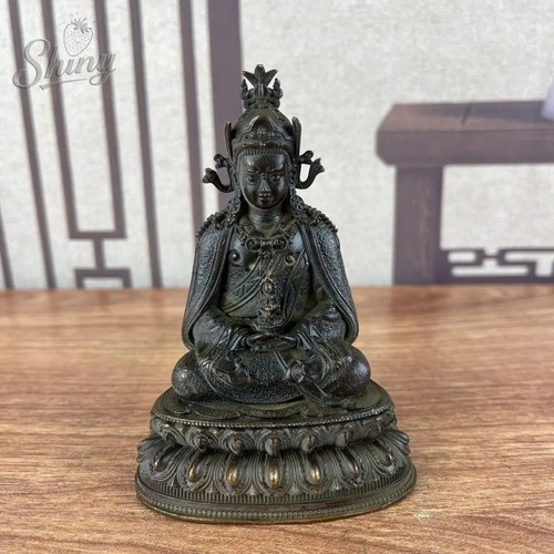Authentic bronze damo - authentic,