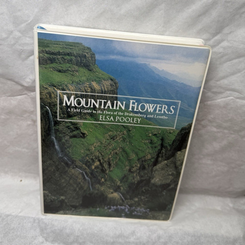 Mountain flowers elsa pooley - mountain,