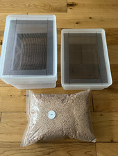 COMPETE MEALWORM BREEDING