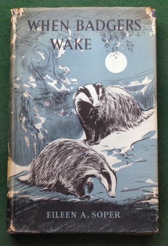 When badgers wake eileen - when,