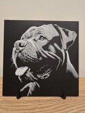 Cane Corso Puppy Hueforge