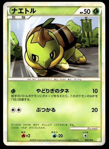 Japanese pokemon turtwig - pokemon,
