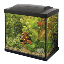 Superfish Start 30 Fish/Shrimp