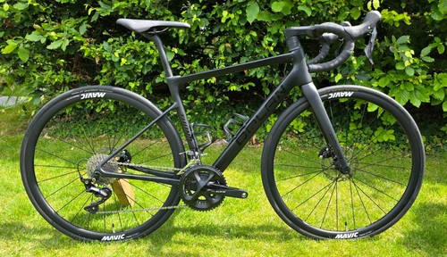 Dolan tuono 54cm - 54cm, carbon
