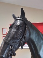 Black Horseware Rambo Micklem