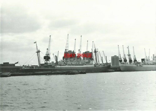 Photo cymric m v - photo,