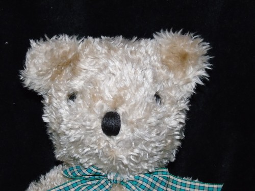 Beautiful house fraser bear - of,