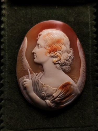 Exquisite antique shell - exquisite,