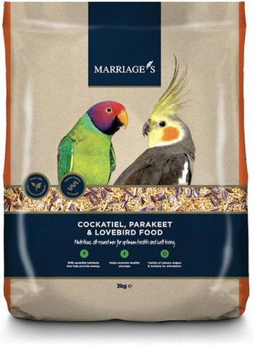 Marriages conure parrot - conure, food