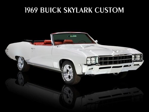 1969 buick skylark - skylark, custom