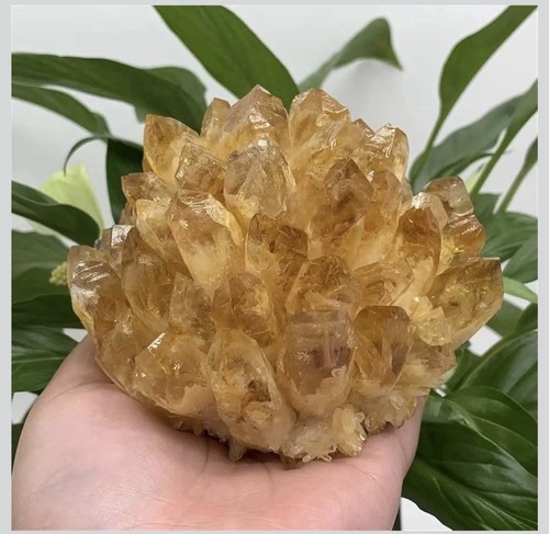 Natural raw citrine - natural,