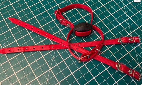 Ferreting collar bright red - 1,