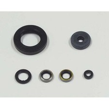 TourMax Engine Oil Seal Kit