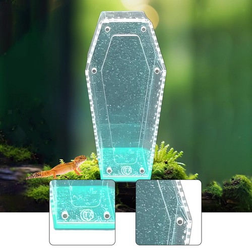 Acrylic tarantula enclosure - acrylic,