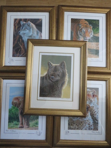 Stephen gayford signed print - stephen,