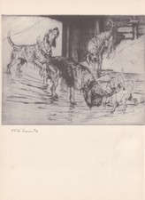 1938 OTTERHOUND DOG Print -