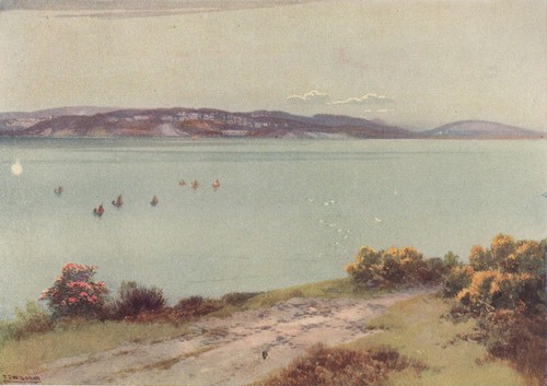 Torquay and berry - and,