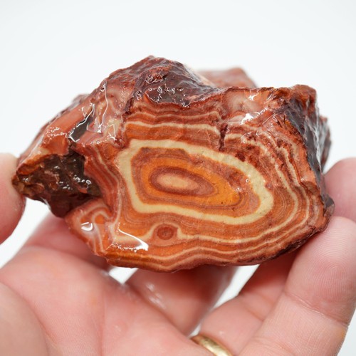 Nevada wonderstone rough - rough,