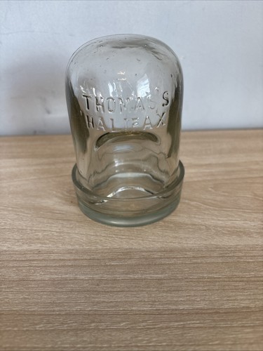 Thomas halifax chick bird - thomas’s,