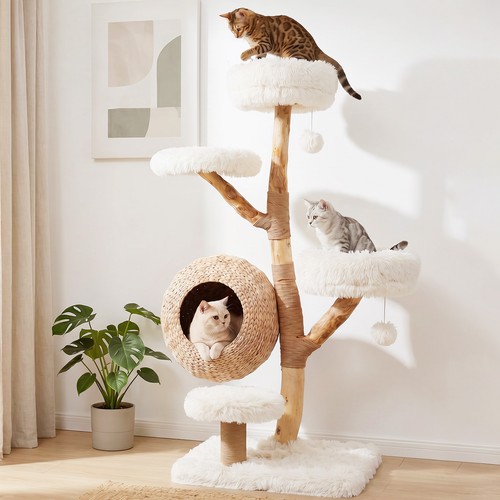Multi level wooden - wooden, cat