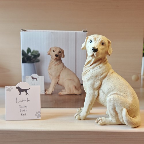 Labrador retriever dog - retriever,
