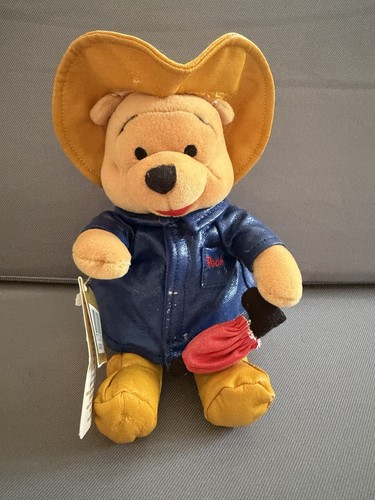 Winnie the pooh raincoat - winnie,