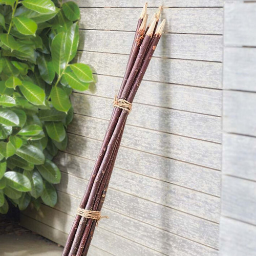 Giant plant stakes - giant,
