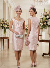 New Jacques Vert dress 14 18