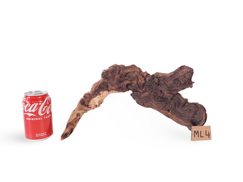 Fish tank driftwood aquarium - fish,