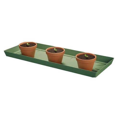 Plant pot saucer - plant, tray