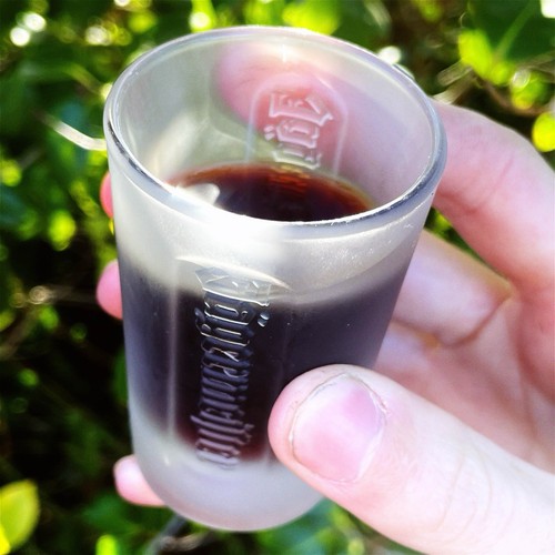 Jägermeister frosted shot - jägermeister,