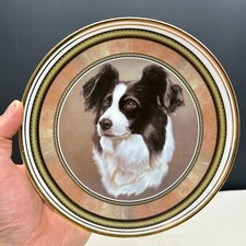 Royal Vale Collector Plate | Border Collie Sheepdog Design