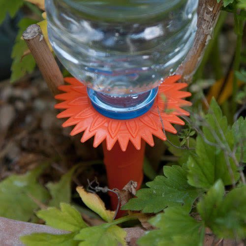 Neat ideas water spikes - water, 6