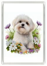 MALTESE CUTE PUPPY DOG ART